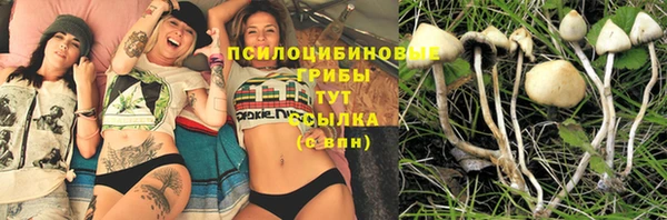 бутират Беломорск