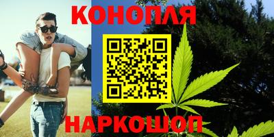 крисы Заводоуковск