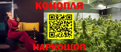 крисы Заводоуковск