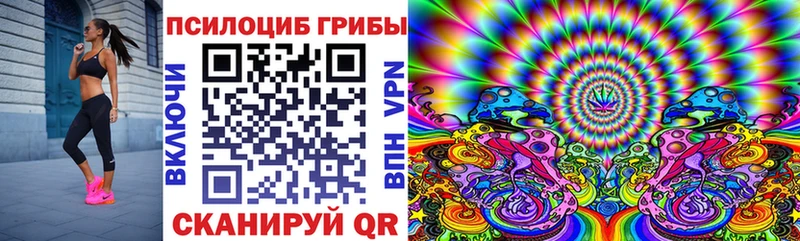 Псилоцибиновые грибы Psilocybine cubensis  Вязники 