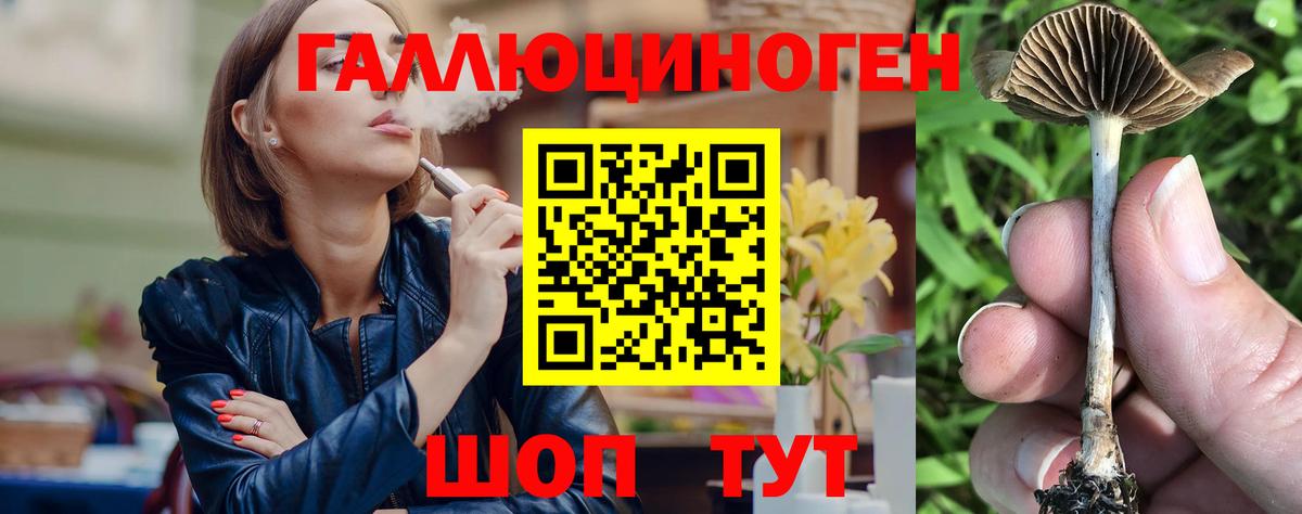 Вязники  цена   Псилоцибиновые грибы ЛСД  Вход с VPN  Галлюциногенные грибы Magic Shrooms 