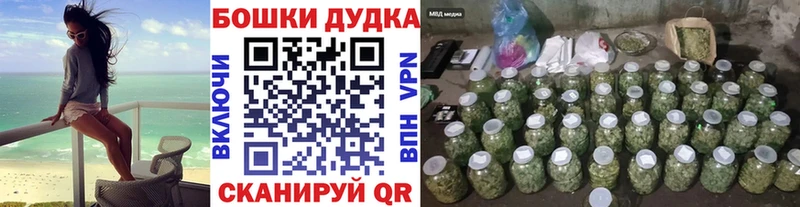 сколько стоит  Вязники  Бошки марихуана OG Kush 